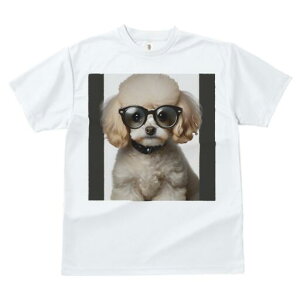 gCv[h TVc  j[NfUCfB[X t@  t vg lJWA 킢 lԗp Mtg I ҏ΍ Kl gCv[h