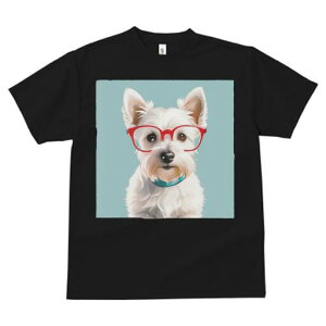 EGXgnChzCgeA TVc  j[NfUCfB[X t@  t vg lJWA 킢 lԗp Mtg I ҏ΍ Kl EGXgnC