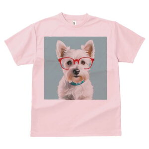 EGXgnChzCgeA TVc  j[NfUCfB[X t@  t vg lJWA 킢 lԗp Mtg I ҏ΍ Kl EGXgnC