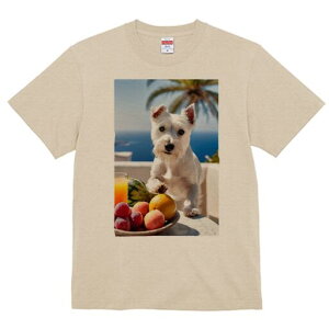 EGXgnChzCgeA TVc  j[NfUCY LbY t@  t vg lJWA 킢 lԗp Mtg I ҏ΍ t[c EGXg