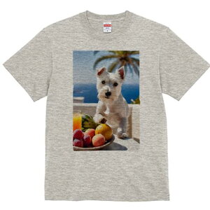 EGXgnChzCgeA TVc  j[NfUCfB[X t@  t vg lJWA 킢 lԗp Mtg I ҏ΍ t[c EGXgnC