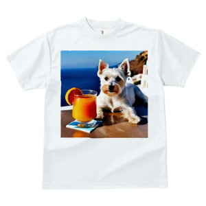 EGXgnChzCgeA TVc  j[NfUCfB[X t@  t vg lJWA 킢 lԗp Mtg I ҏ΍ W[X EGXgnC