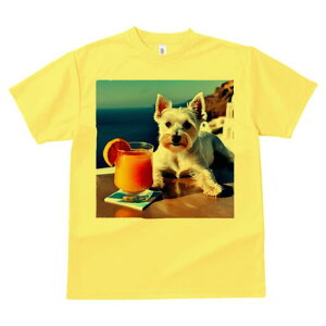 EGXgnChzCgeA TVc  j[NfUCY LbY t@  t vg lJWA 킢 lԗp Mtg I ҏ΍ W[X EGXg