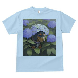 _bNXth TVc  j[NfUCY LbY t@  t vg lJWA 킢 lԗp Mtg I ҏ΍  _bNXth AWTC Ԋ