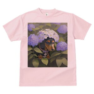 _bNXth TVc  j[NfUCfB[X t@  t vg lJWA 킢 lԗp Mtg I ҏ΍  _bNXth AWTC Ԋ