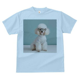 v[h TVc  j[NfUCfB[X t@  t vg lJWA 킢 lԗp Mtg I ҏ΍ Kl v[h Z[^[