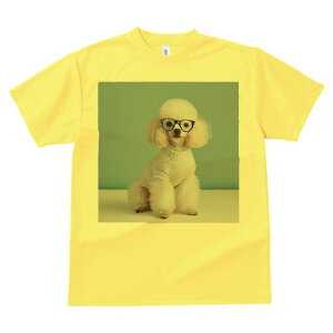 v[h TVc  j[NfUCfB[X t@  t vg lJWA 킢 lԗp Mtg I ҏ΍ Kl v[h Z[^[