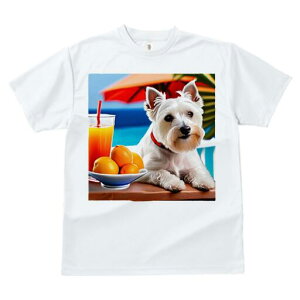 EGXgnChzCgeA TVc  j[NfUCfB[X t@  t vg lJWA 킢 lԗp Mtg I ҏ΍ W[X EGXgnC