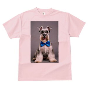 ~j`AViEU[ TVc  j[NfUCfB[X t@  t vg lJWA 킢 lԗp Mtg I ҏ΍ lN^C ~j`AViEU