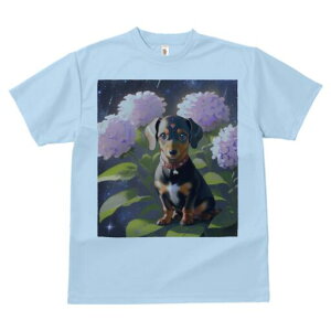 ~j`A_bNXth TVc  j[NfUCfB[X t@  t vg lJWA 킢 lԗp Mtg I ҏ΍  ~j`A_bNXth 