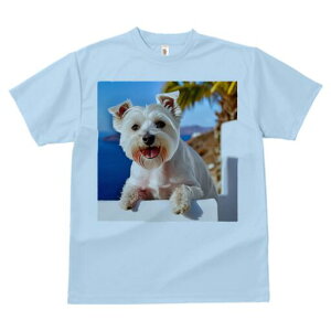 EGXgnChzCgeA TVc  j[NfUCfB[X t@  t vg lJWA 킢 lԗp Mtg I ҏ΍ C EGXgnCh