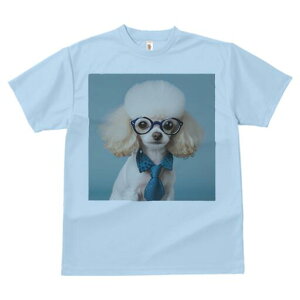 gCv[h TVc  j[NfUCfB[X t@  t vg lJWA 킢 lԗp Mtg I ҏ΍ Kl gCv[h lN^C