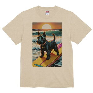 XReBbVeA TVc  j[NfUCfB[X t@  t vg lJWA 킢 lԗp Mtg I ҏ΍ T[tB XReBbVeA 