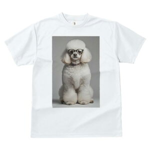 v[h TVc  j[NfUCfB[X t@  t vg lJWA 킢 lԗp Mtg I ҏ΍ Kl v[h 