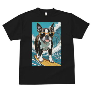 {XgeA TVc  j[NfUCfB[X t@  t vg lJWA 킢 lԗp Mtg I ҏ΍ T[tB {XgeA g TOX