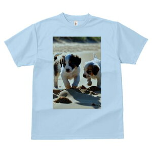 WbNbZeA TVc  j[NfUCfB[X t@  t vg lJWA 킢 lԗp Mtg I ҏ΍ l WbNbZeA