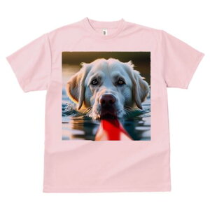 S[fgo[ TVc  j[NfUCfB[X t@  t vg lJWA 킢 lԗp Mtg I ҏ΍  S[fgo[  Ԃ