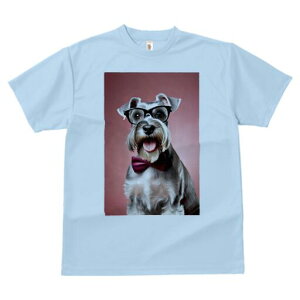 ~j`AViEU[ TVc  j[NfUCY LbY t@  t vg lJWA 킢 lԗp Mtg I ҏ΍ Kl ~j`AViEU