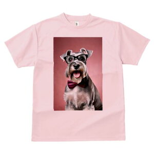 ~j`AViEU[ TVc  j[NfUCfB[X t@  t vg lJWA 킢 lԗp Mtg I ҏ΍ Kl ~j`AViEU[ 