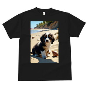 LoA TVc  j[NfUCfB[X t@  t vg lJWA 킢 lԗp Mtg I ҏ΍ r[` LoA C l Lk