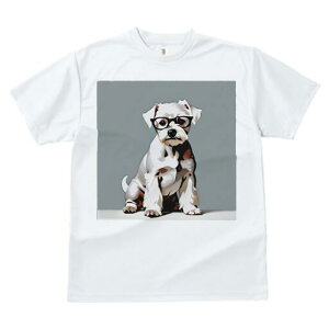 ~j`AViEU[ TVc  j[NfUCY LbY t@  t vg lJWA 킢 lԗp Mtg I ҏ΍ Kl ~j`AViEU