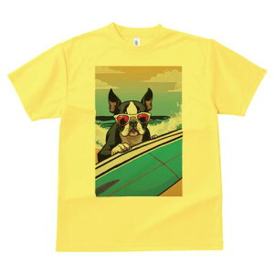 {XgeA TVc  j[NfUCfB[X t@  t vg lJWA 킢 lԗp Mtg I ҏ΍ TOX {XgeA T[tB C 