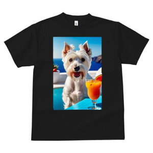 EGXgnChzCgeA TVc  j[NfUCfB[X t@  t vg lJWA 킢 lԗp Mtg I ҏ΍ JNe EGXgnC