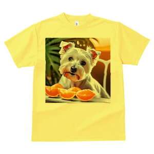 �E�G�X�g�n�C�����h�z���C�g�e���A T�V���c ���� ���j�[�N�f�U�C�����f�B�[�X ���t�@�� ���� �t�� �v�����g ��l�J�W���A�� ���킢�� �l�ԗp �M�t�g ���I �ҏ��΍� �I�����W �E�G�X�g�n�C