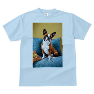 {XgeA TVc  j[NfUCfB[X t@  t vg lJWA 킢 lԗp Mtg I ҏ΍ NbV {XgeA \t@