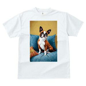 {XgeA TVc  j[NfUCfB[X t@  t vg lJWA 킢 lԗp Mtg I ҏ΍ NbV {XgeA \t@