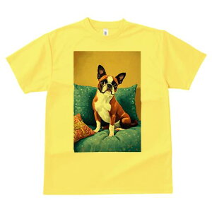 {XgeA TVc  j[NfUCfB[X t@  t vg lJWA 킢 lԗp Mtg I ҏ΍ NbV {XgeA \t@