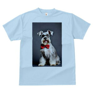 ~j`AViEU[ TVc  j[NfUCfB[X t@  t vg lJWA 킢 lԗp Mtg I ҏ΍ Kl ~j`AViEU[ 