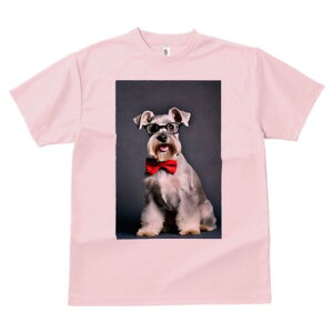 ~j`AViEU[ TVc  j[NfUCY LbY t@  t vg lJWA 킢 lԗp Mtg I ҏ΍ Kl ~j`AViEU