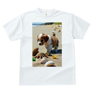 LoA TVc  j[NfUCfB[X t@  t vg lJWA 킢 lԗp Mtg I ҏ΍ r[` LoA C  Lk