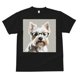 EGXgnChzCgeA TVc  j[NfUCfB[X t@  t vg lJWA 킢 lԗp Mtg I ҏ΍ Kl EGXgnC