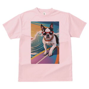 {XgeA TVc  j[NfUCY LbY t@  t vg lJWA 킢 lԗp Mtg I ҏ΍ T[tB {XgeA g C 