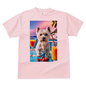 EGXgnChzCgeA TVc  j[NfUCfB[X t@  t vg lJWA 킢 lԗp Mtg I ҏ΍ JNe EGXgnC