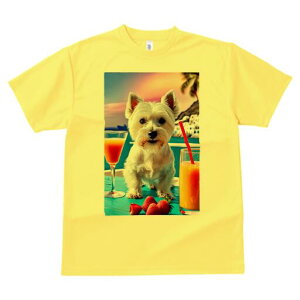 EGXgnChzCgeA TVc  j[NfUCfB[X t@  t vg lJWA 킢 lԗp Mtg I ҏ΍ JNe EGXgnC