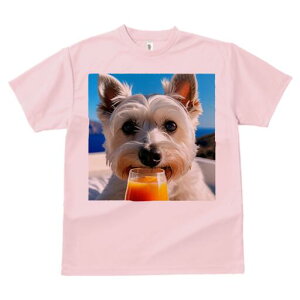 EGXgnChzCgeA TVc  j[NfUCfB[X t@  t vg lJWA 킢 lԗp Mtg I ҏ΍ W[X EGXgnC