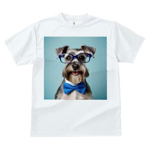 ~j`AViEU[ TVc  j[NfUCY LbY t@  t vg lJWA 킢 lԗp Mtg I ҏ΍ Kl ~j`AViEU