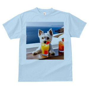 EGXgnChzCgeA TVc  j[NfUCfB[X t@  t vg lJWA 킢 lԗp Mtg I ҏ΍ JNe EGXgnC