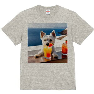 EGXgnChzCgeA TVc  j[NfUCfB[X t@  t vg lJWA 킢 lԗp Mtg I ҏ΍ JNe EGXgnC