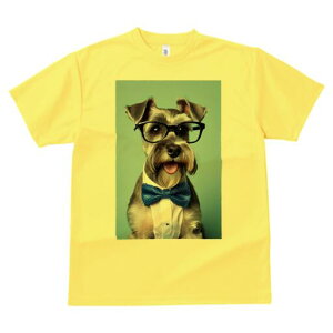 ~j`AViEU[ TVc  j[NfUCfB[X t@  t vg lJWA 킢 lԗp Mtg I ҏ΍ Kl ~j`AViEU[ 