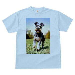 ~j`AViEU[ TVc  j[NfUCfB[X t@  t vg lJWA 킢 lԗp Mtg I ҏ΍ Ő ~j`AViEU[ 