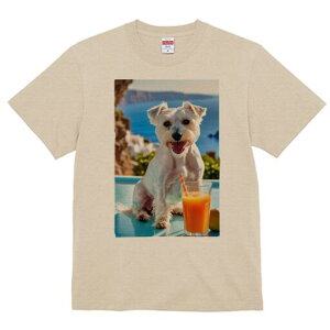 EGXgnChzCgeA TVc  j[NfUCfB[X t@  t vg lJWA 킢 lԗp Mtg I ҏ΍ W[X EGXgnC