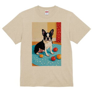 {XgeA TVc  j[NfUCfB[X t@  t vg lJWA 킢 lԗp Mtg I ҏ΍ S {XgeA J[e }bg