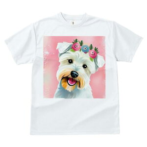 EGXgnChzCgeA TVc  j[NfUCfB[X t@  t vg lJWA 킢 lԗp Mtg I ҏ΍  EGXgnCh