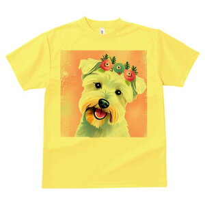 EGXgnChzCgeA TVc  j[NfUCY LbY t@  t vg lJWA 킢 lԗp Mtg I ҏ΍  EGXgnC