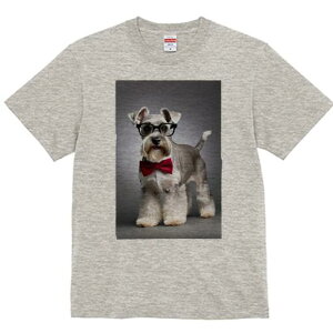 ~j`AViEU[ TVc  j[NfUCY LbY t@  t vg lJWA 킢 lԗp Mtg I ҏ΍ Kl ~j`AViEU