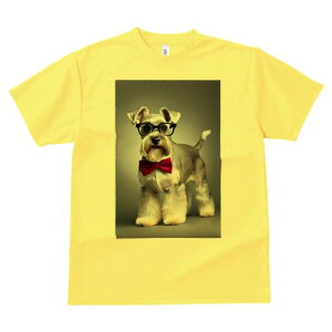 ~j`AViEU[ TVc  j[NfUCY LbY t@  t vg lJWA 킢 lԗp Mtg I ҏ΍ Kl ~j`AViEU